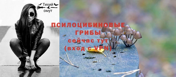 винт Михайловка