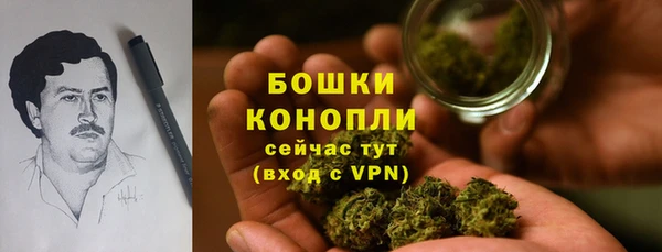 не бодяженный Михайлов
