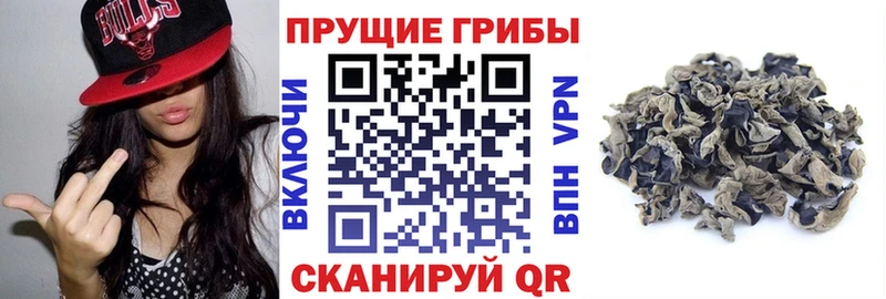 Псилоцибиновые грибы Magic Shrooms  MEGA ссылка  это клад  Зубцов 